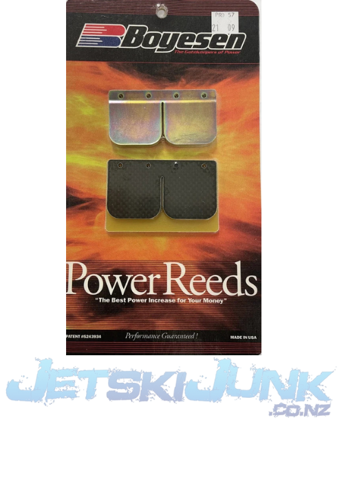 Kawasaki 1100 ZXI / 1200 Boyesen Pro Series Reeds