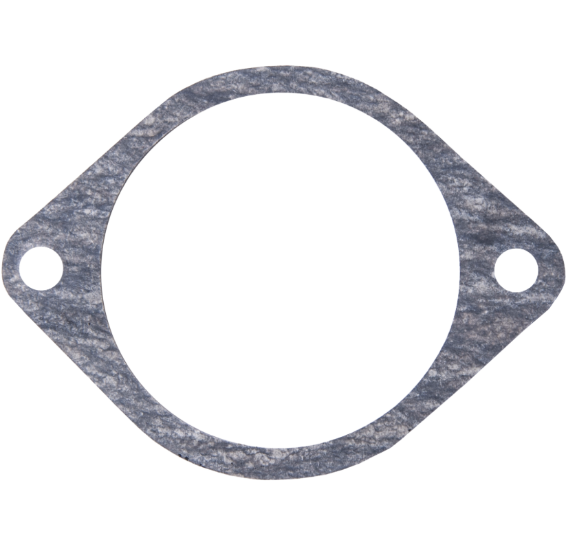 Sea-Doo Flame Arrestor Gasket image 0