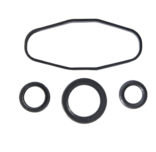 Sea-Doo RAVE Valve Rebuild Kit image 0