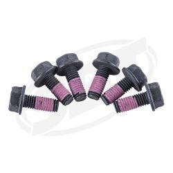 Sea-Doo Magneto Screw Kit image 1