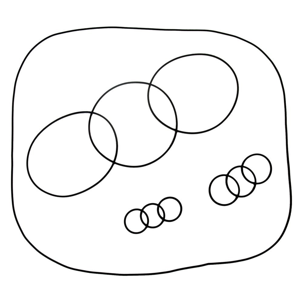 Kawasaki 1100 ADA Racing O-Ring Kit image 0