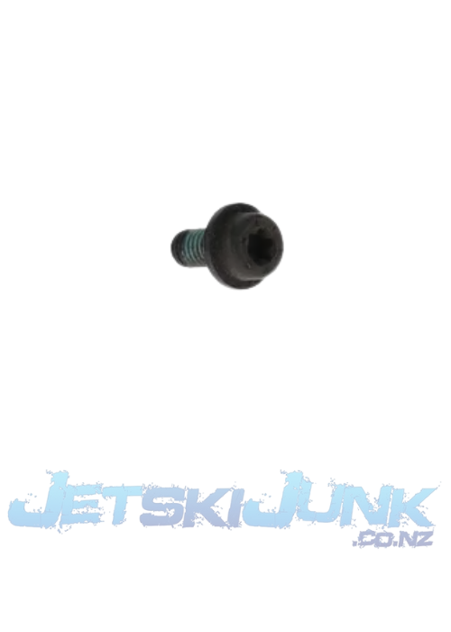 Sea-Doo OEM Cam Gear Bolts