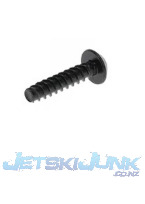 Torx Screw M6 X 60