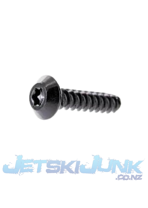 Screw Torx M6.81 X 30 Sea-Doo
