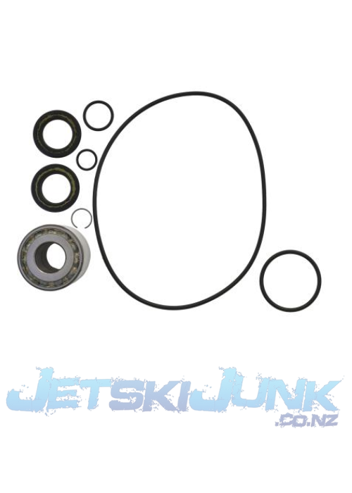 Honda Jet Pump Rebuild Kit