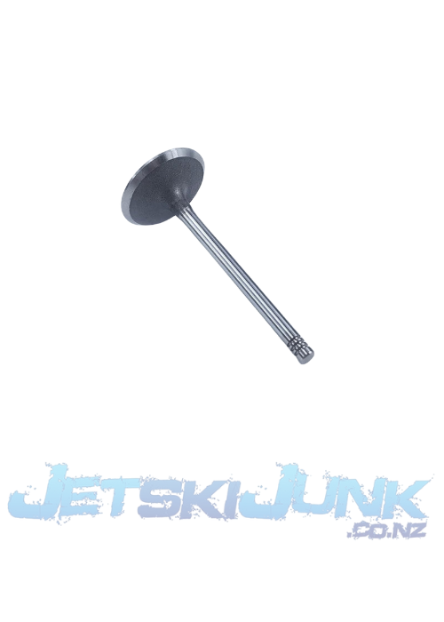 OEM Seadoo Intake Valves
420254298, 420254294