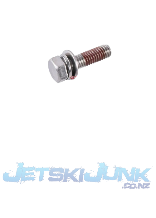 Yamaha OEM Bolt with Washer