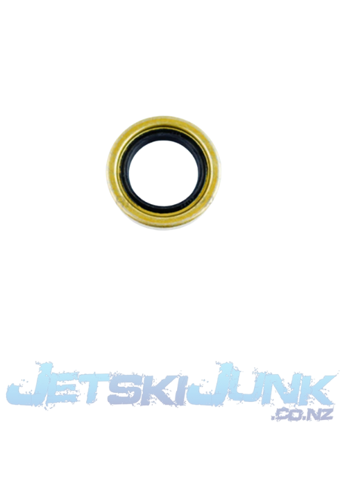 Sea-Doo 2 Stroke Carrier Seal WSM