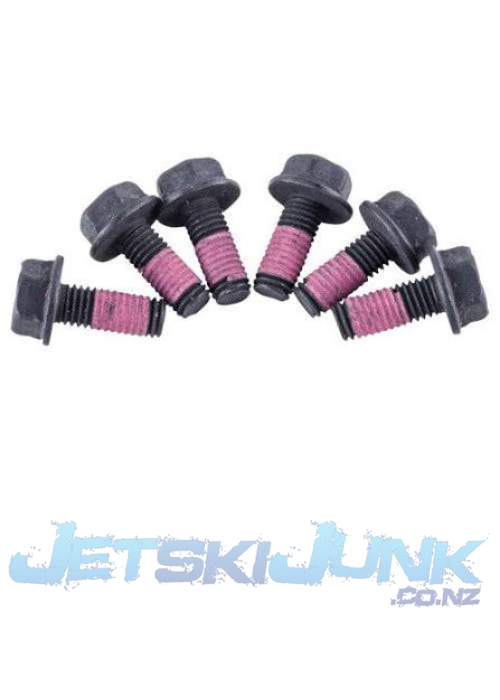 Genuine Sea Doo Screw Kit