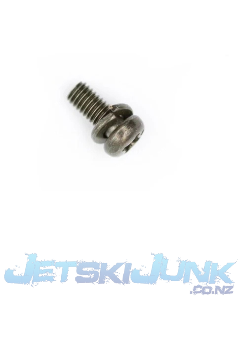 Sea-Doo Screw (Mikuni - Needle Valve Plate Retain)