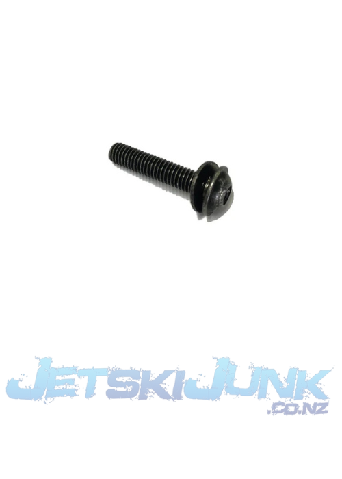 Yamaha FX Plate Mount Screw