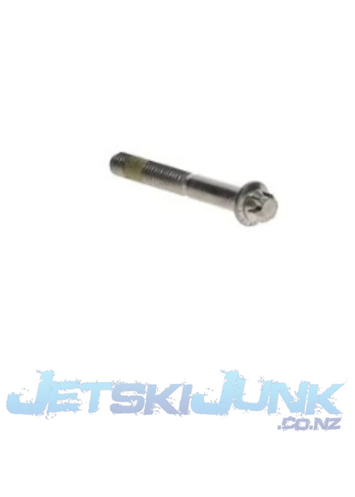 Sea-Doo OEM Flange Torx Screw