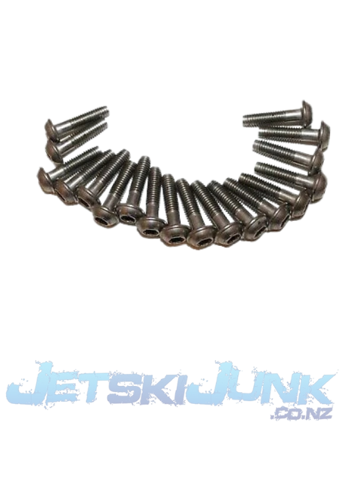 Flanged Torx Screw M6 X 25