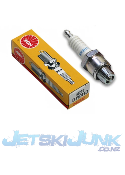 Spark Plug NGK BR9HS