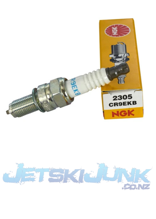 Spark Plug NGK CR9EKB