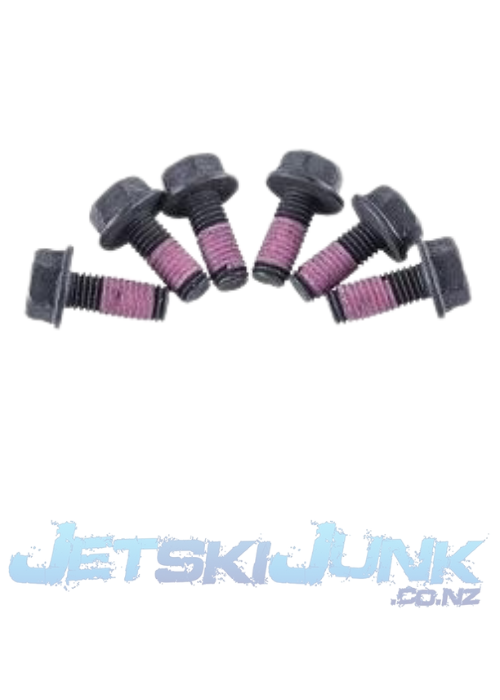 Sea-Doo Magneto Screw Kit