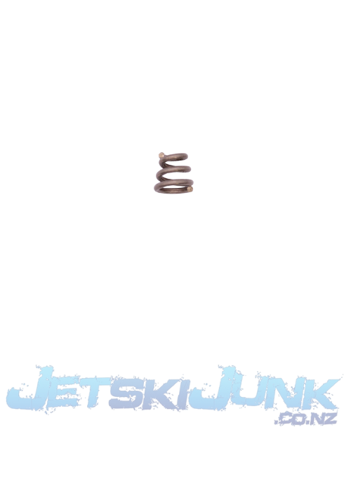 Sea-Doo OEM Mirror Spring