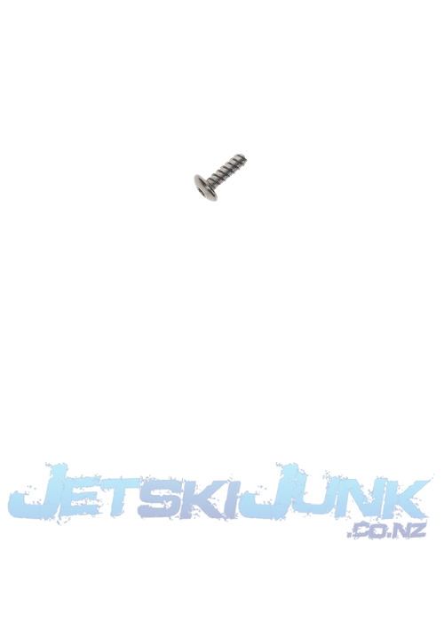 Yamaha OEM Torx screw