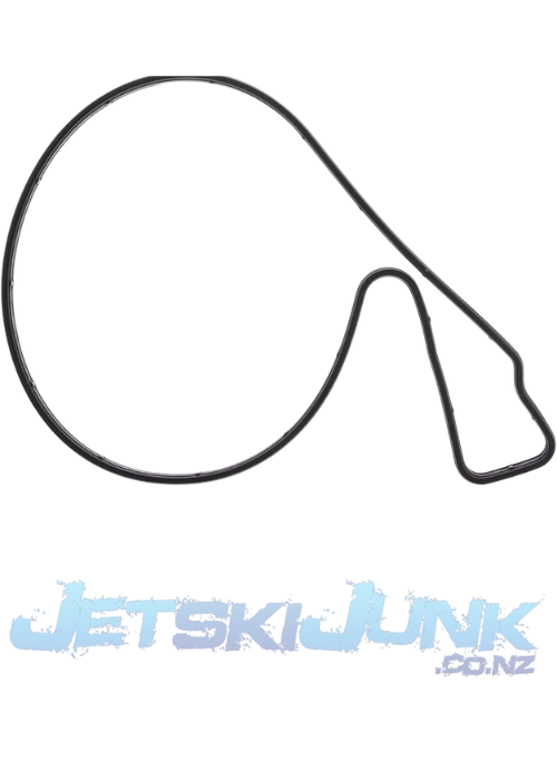 Sea-Doo 4-TEC Water Pump Gasket